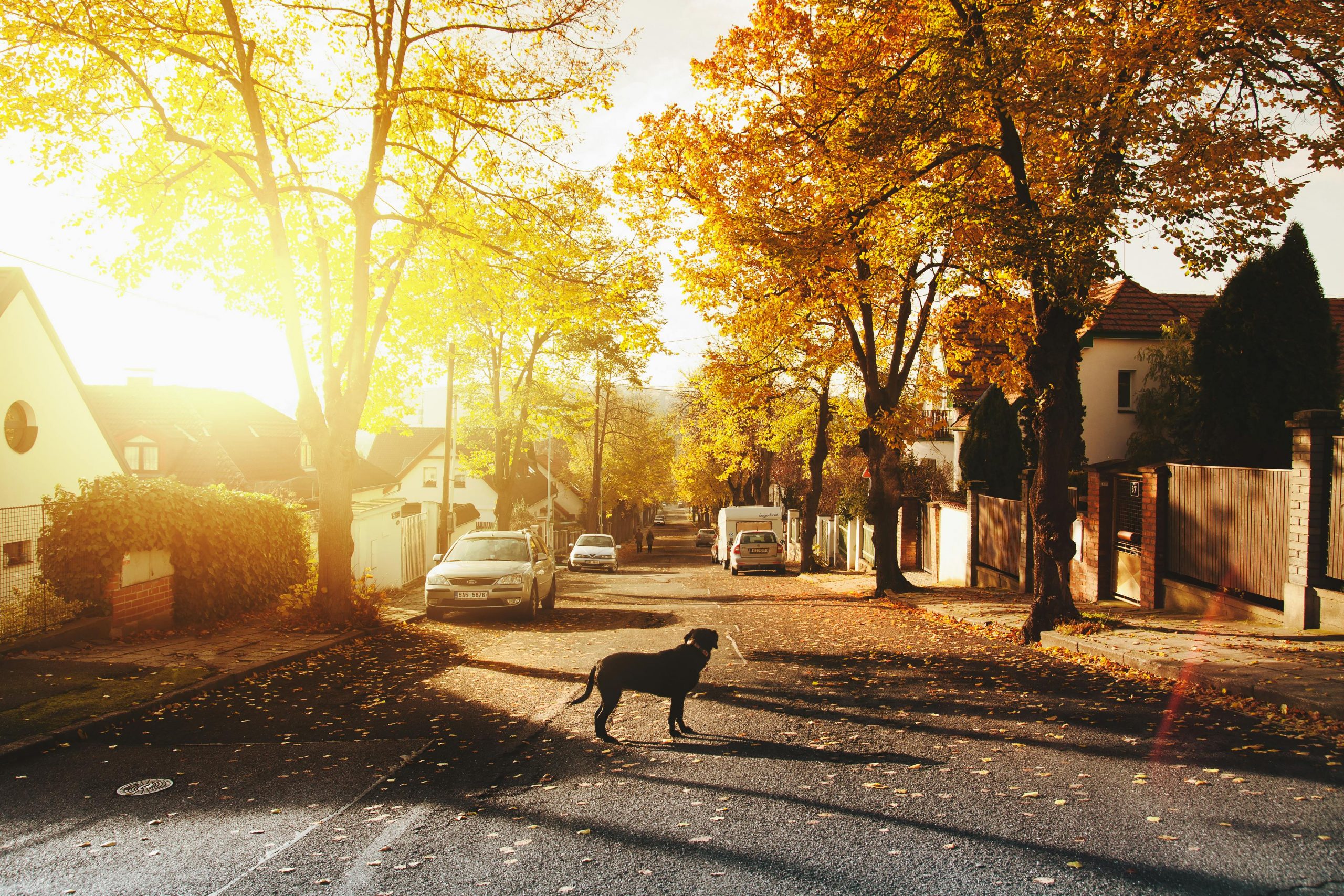 Family Friendly Neighborhood in Salt Lake City Utah - Taylor Allred